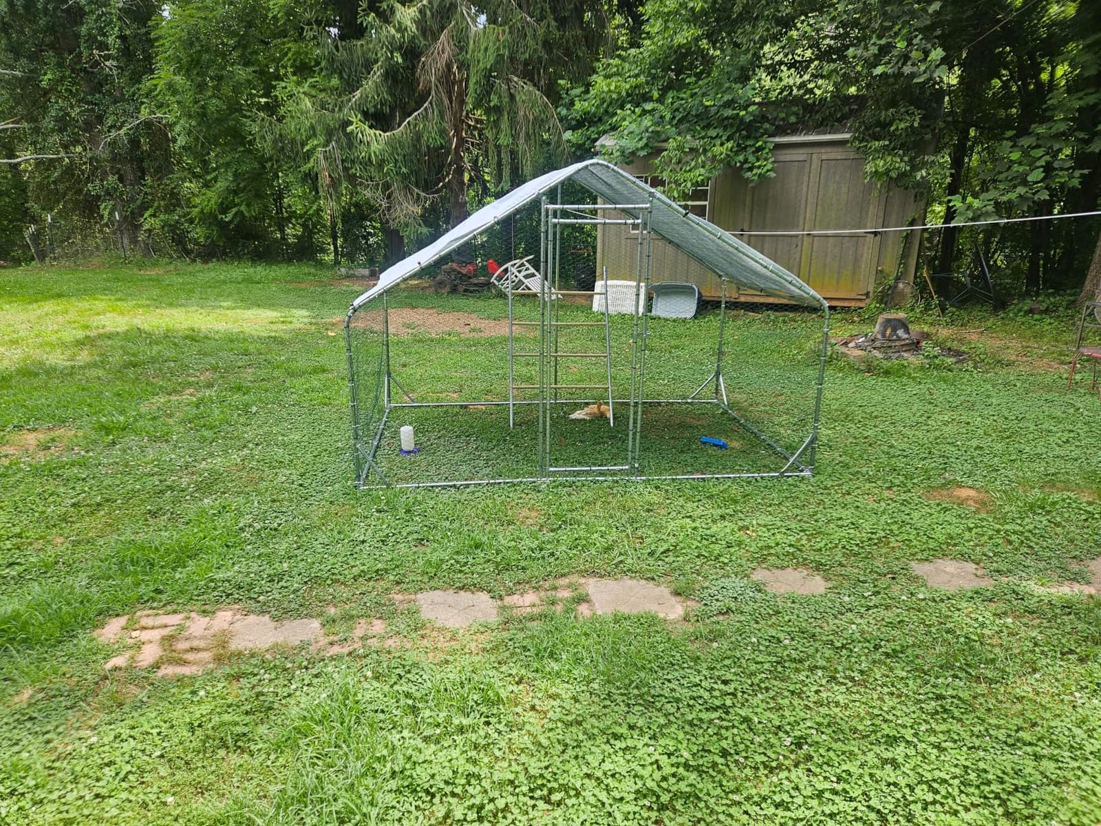 13x9.8x6.5 ft Large Metal Chicken Coop Walk-in Chicken Run with Cover customer photo 1