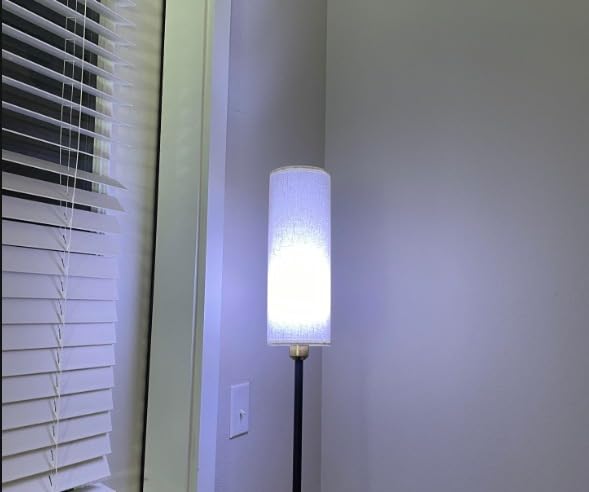 Smart Floor Lamp Works with Alexa & Google Home, Color Changing Stepless Dimmable for Living Room, Modern Standing WiFi Lamps with Remote, Minimalist Pole Lamp Tall Lights for Bedroom, Office-Black customer photo 1