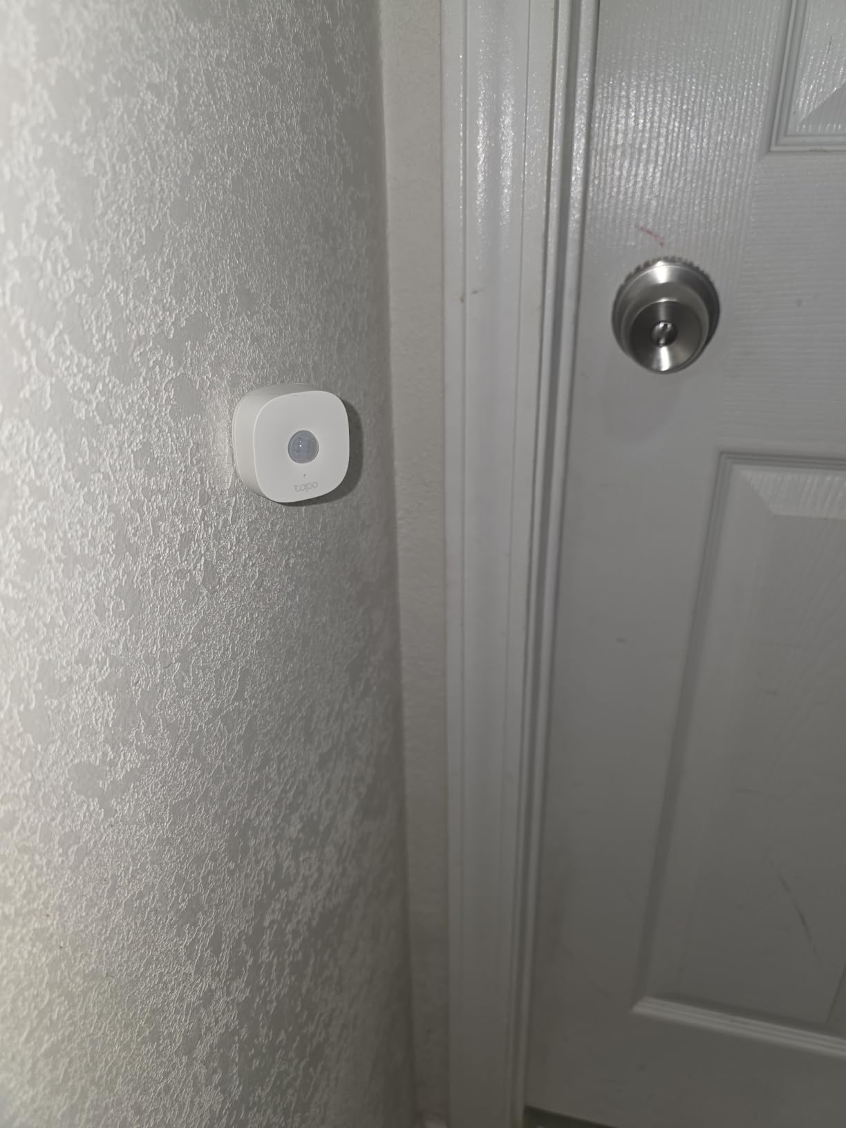 TP-Link Tapo Motion Sensor, Requires Tapo Hub, Long Battery Life w/Sub-1G Low-Power Wireless Protocol, Wide Range Detection, Adjustable Sensitivity, Real-Time Notification, Smart Action, Tapo T100 customer photo 1