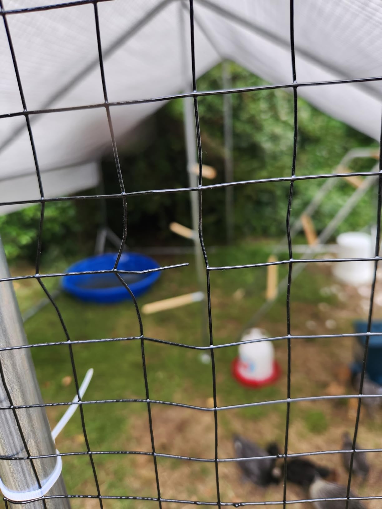 Walk-in Metal Chicken Coop 10x6.6 for 1-10 Chicken, Heavy Duty Poultry Cage customer photo 2
