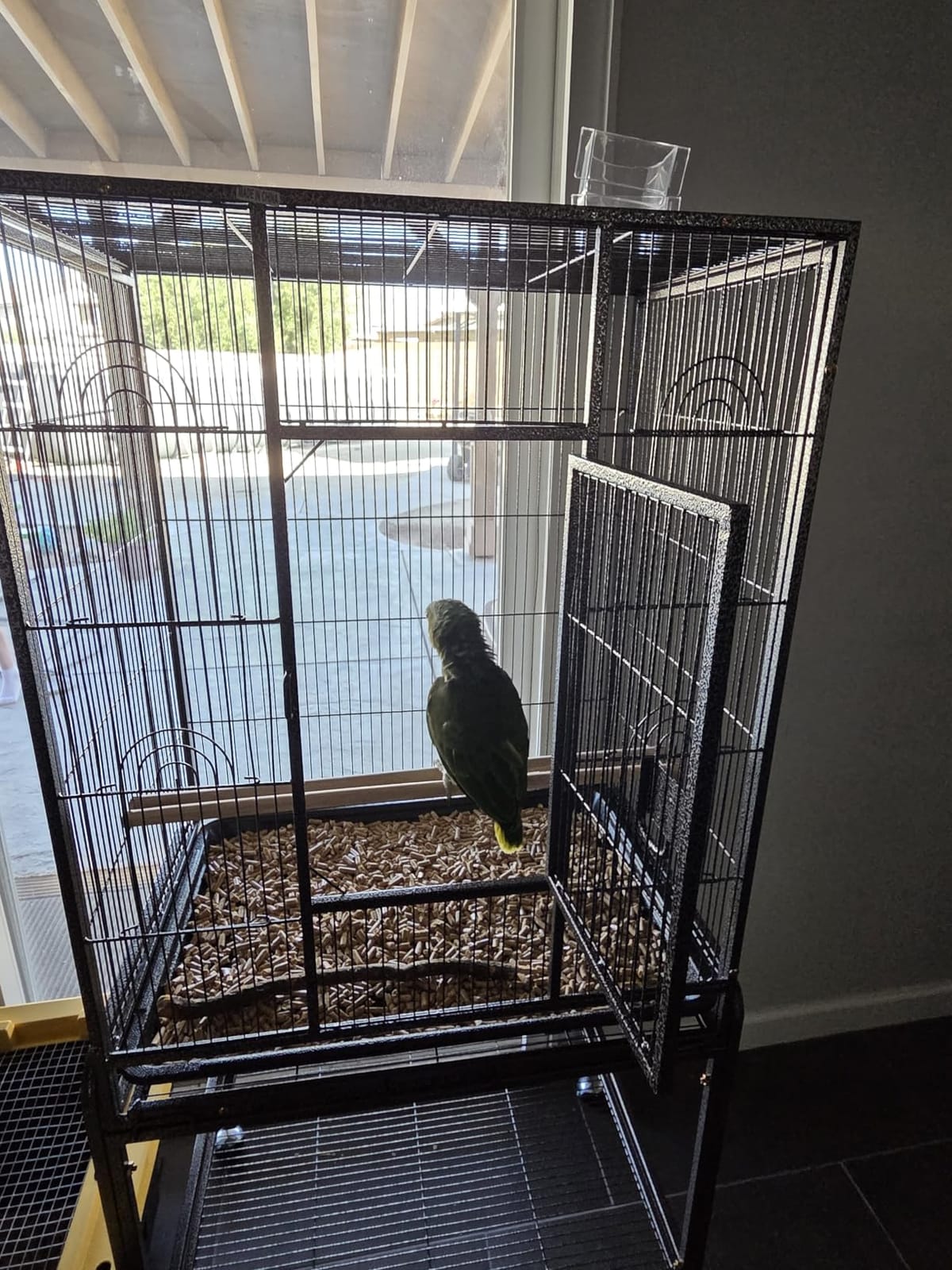 ZENY 53-Inch Bird Cage, Wrought Iron Flight Birdcage, White customer photo 2