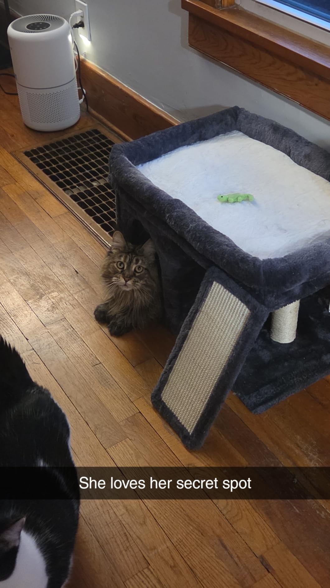 Aechonow Small Cat Tree Tower for Large Cat, Cat Bed House with Large Perch customer photo 1