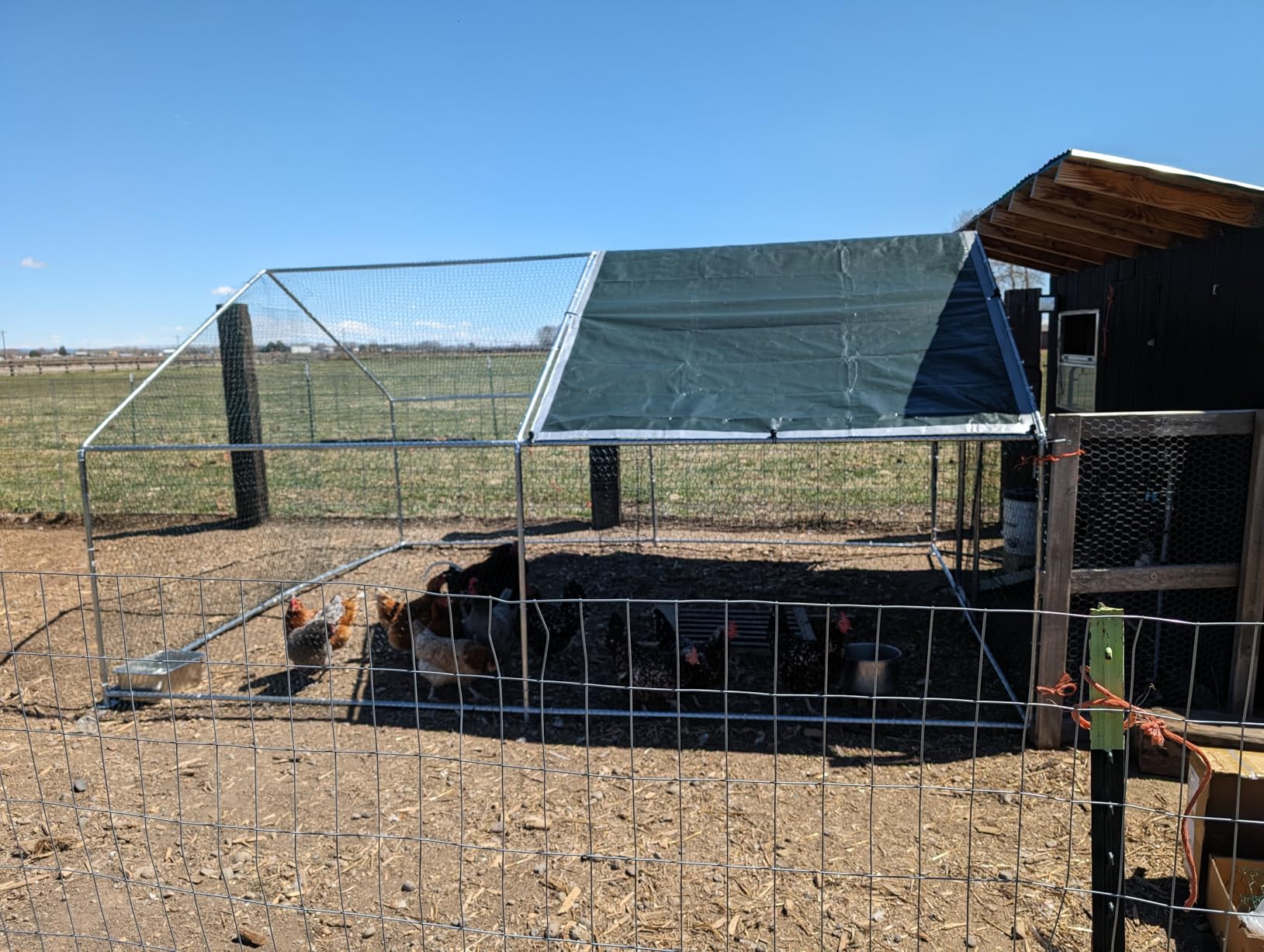 Large Metal Chicken Coop 12.8x9.84x6.6ft Chicken Runs for Yard with Cover, Walk in Chicken Coops for 10 Chickens, Heavy Duty Chicken Run Lockable Chicken Pen Outdoor Poultry Cage customer photo 1