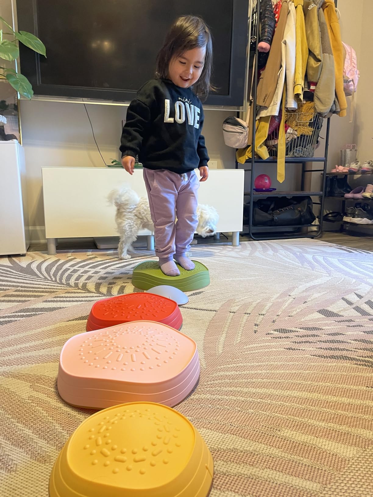 Tiny Land Stepping Stones for Kids, 5pcs Non-Slip Balance Toddler Toys customer photo 2