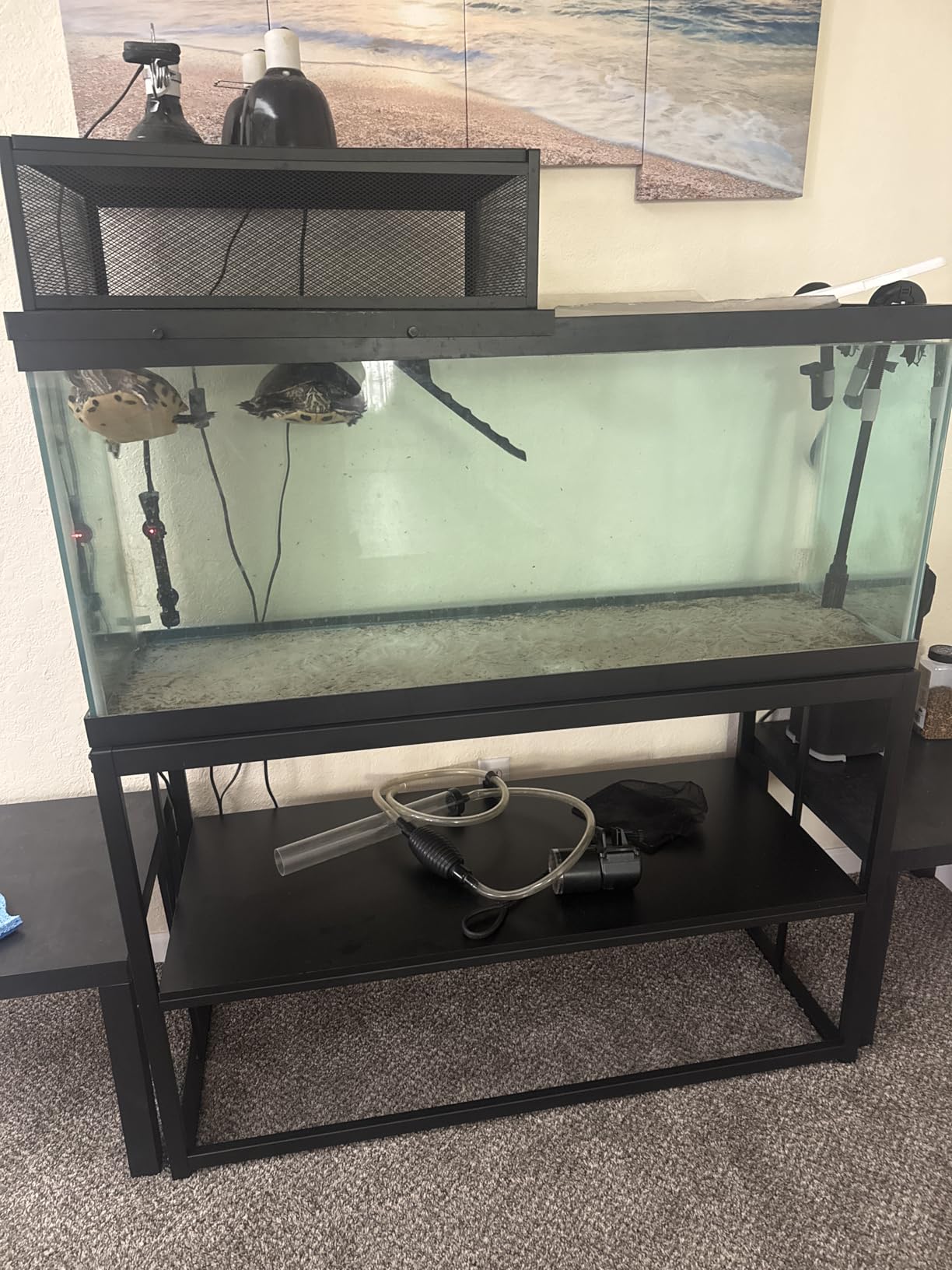 40 Gallon Metal Fish Tank Stand, Aquarium & Terrarium Stand for Home Office customer photo 2