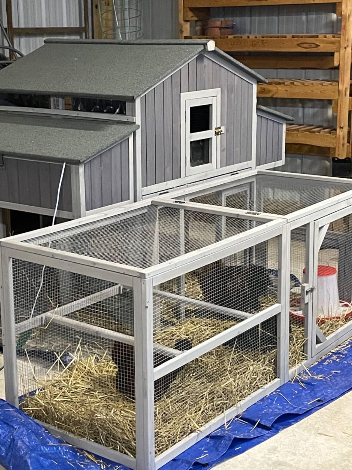 Aivituvin Chicken Coop Double Folding Fir Wood Chicken House with Large Nesting Box Poultry Cage Upgrade with Strong Iron Frame, Durable & Waterproof for 4-6 Hens Duck Coop customer photo 2