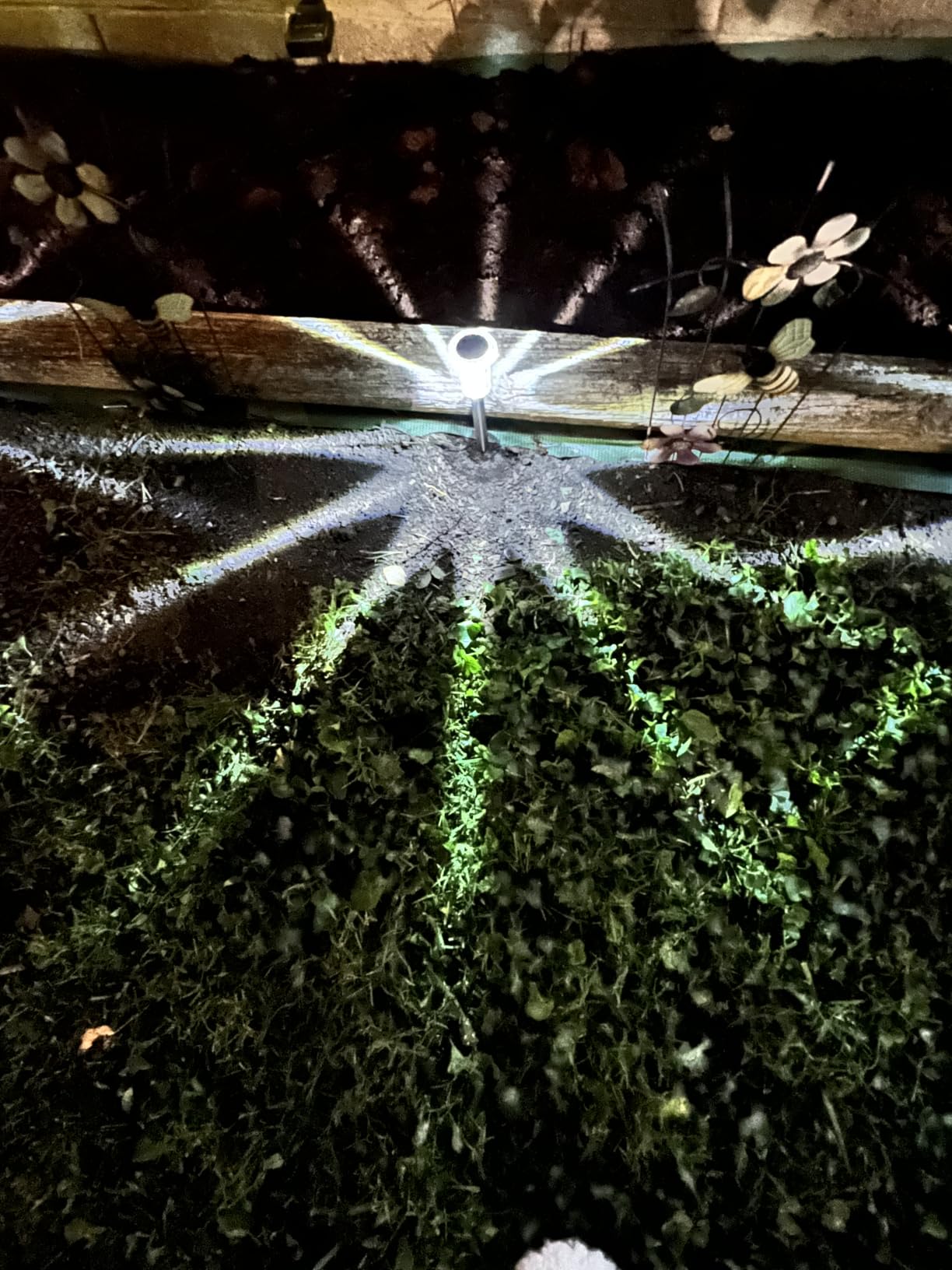 DenicMic Solar Path Lights customer photo 2