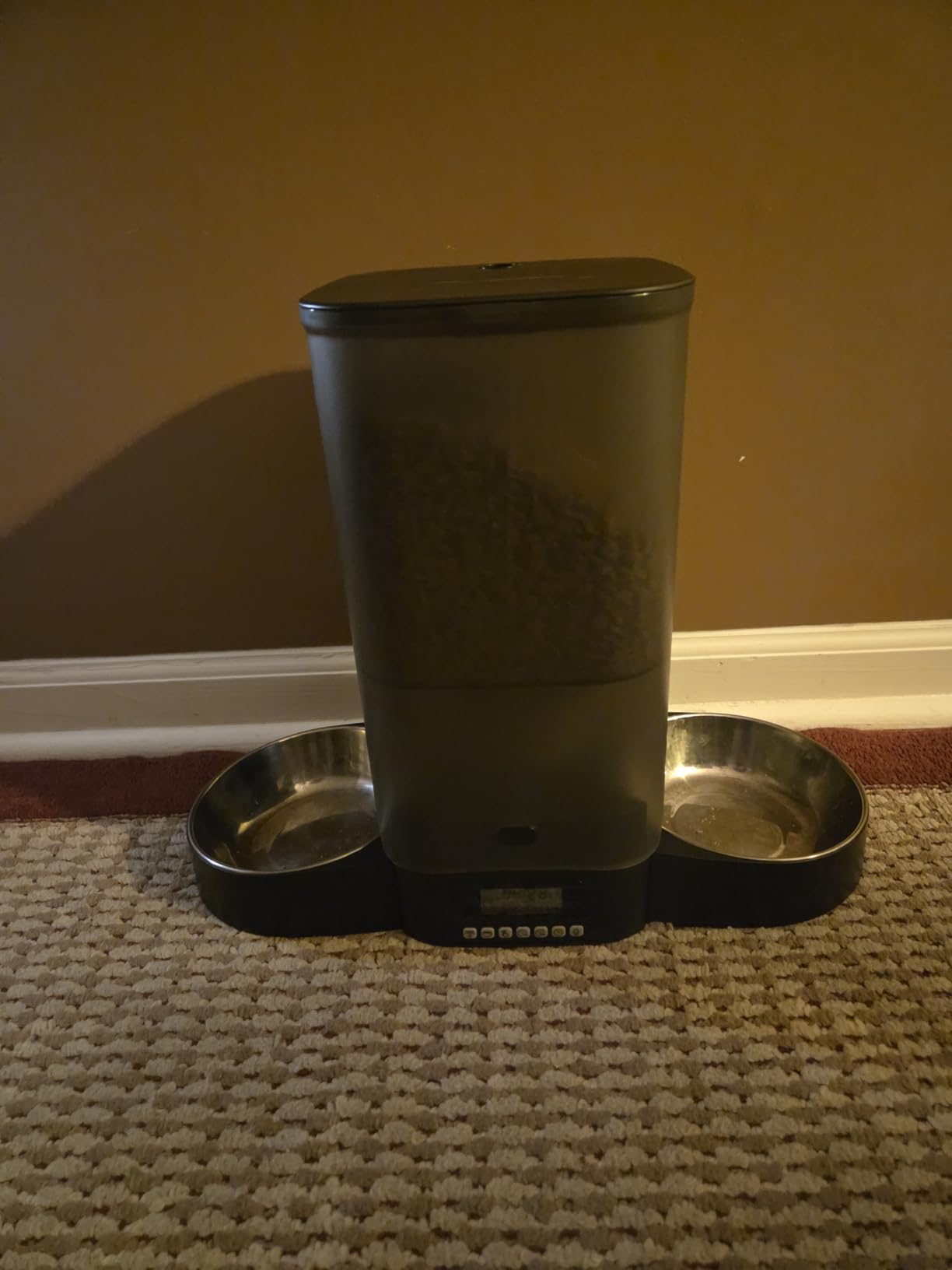HoneyGuaridan Automatic Cat Feeder for 2 Cats,Cat Food Dispenser customer photo 2