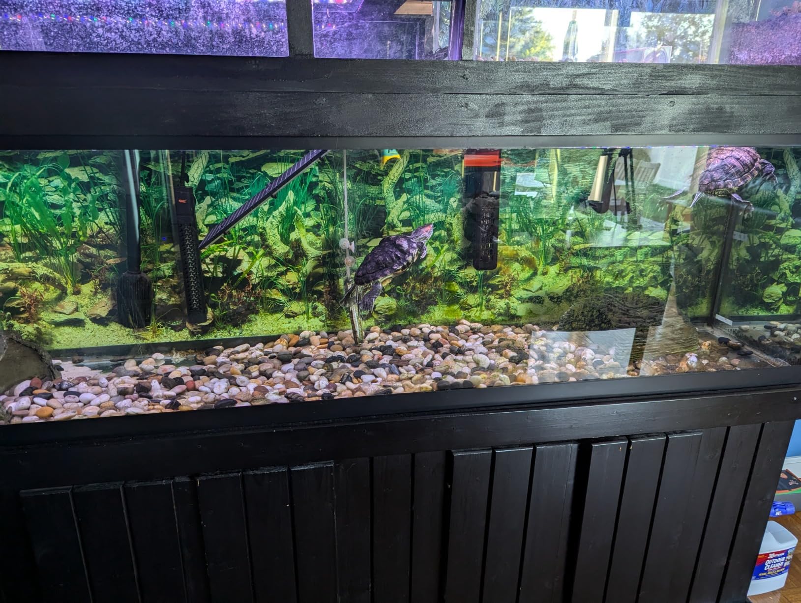 hygger 500w Aquarium Heater, Submersible Fish Tank Heater with Digital LED Controller and Intelligent Leaving Water Automatically Stop Heating System,for 75-130 Gallon Tanks customer photo 1