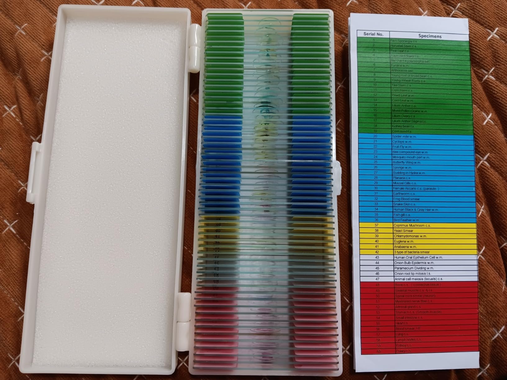 Microscope Slides with Specimens for Kids, 60 Lab-Grade Prepared Microscope Slides, Animal/Plant/Microbe/Tissue Samples, STEM Biology Kit for Homeschool, Classroom Labs & Science Education customer photo 1