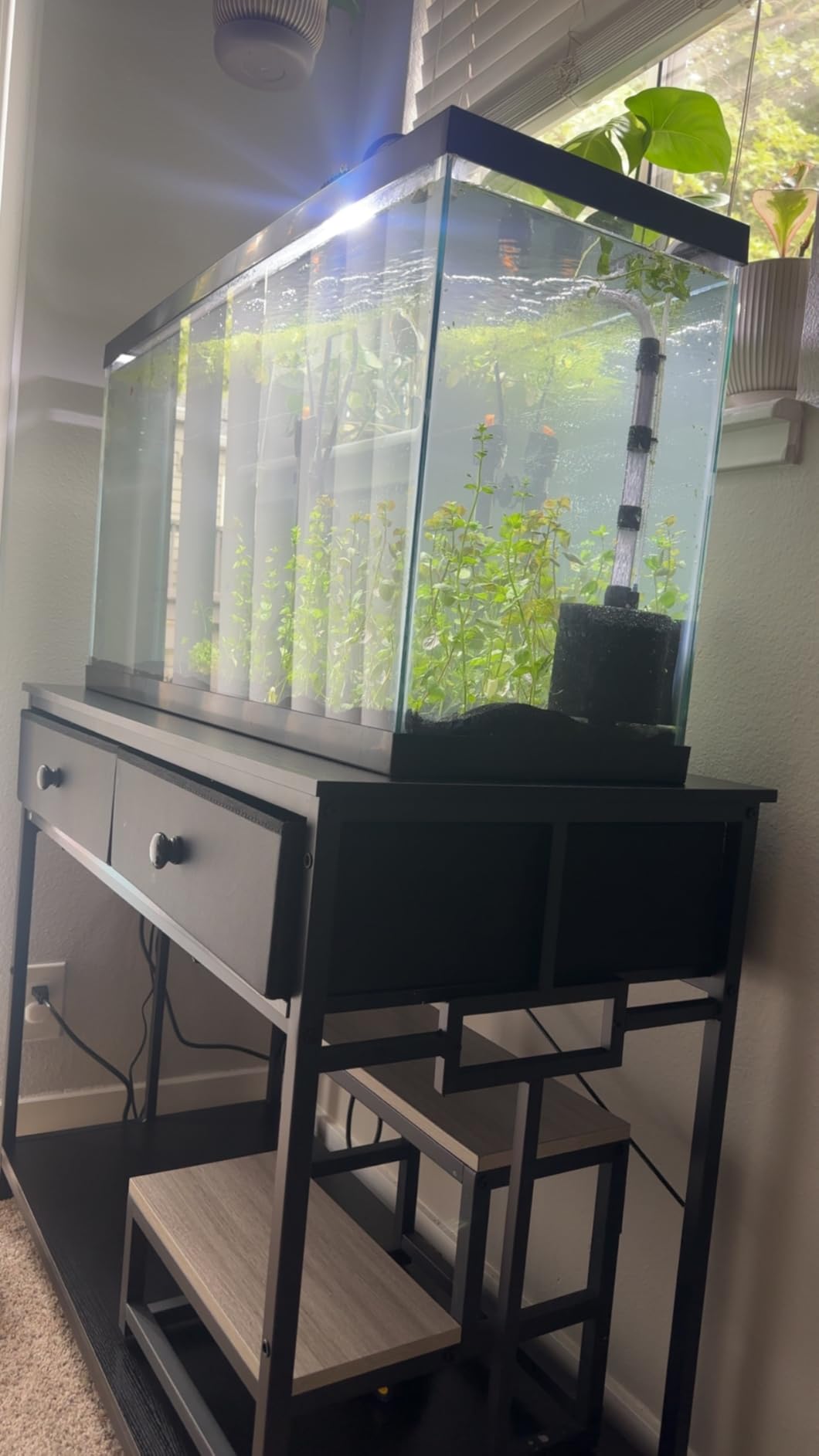 VOWNER 40 Gallon Aquarium Stand with Power Outlet & Cabinet Storage, Black customer photo 2