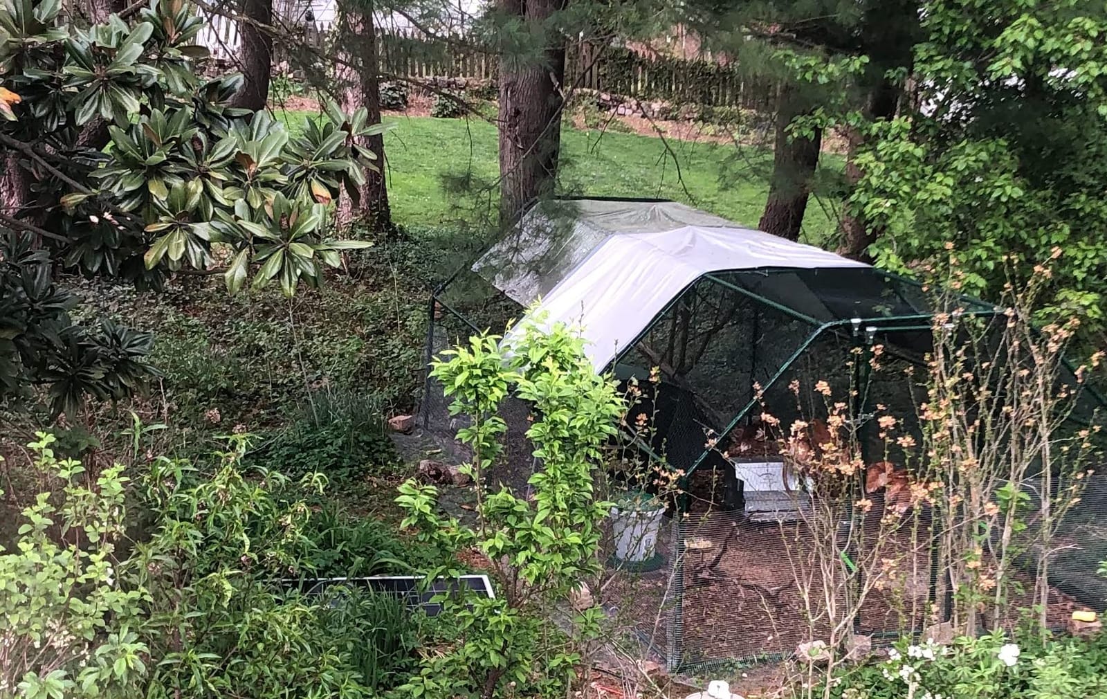 Polar Aurora Metal Chicken Coop, Large Outdoor Chicken Pen, Walk-in Chicken Run for 6-20 Chickens, Double Door Chicken House with Waterproof UV Protection Cover for Backyard (Spire-L) customer photo 1