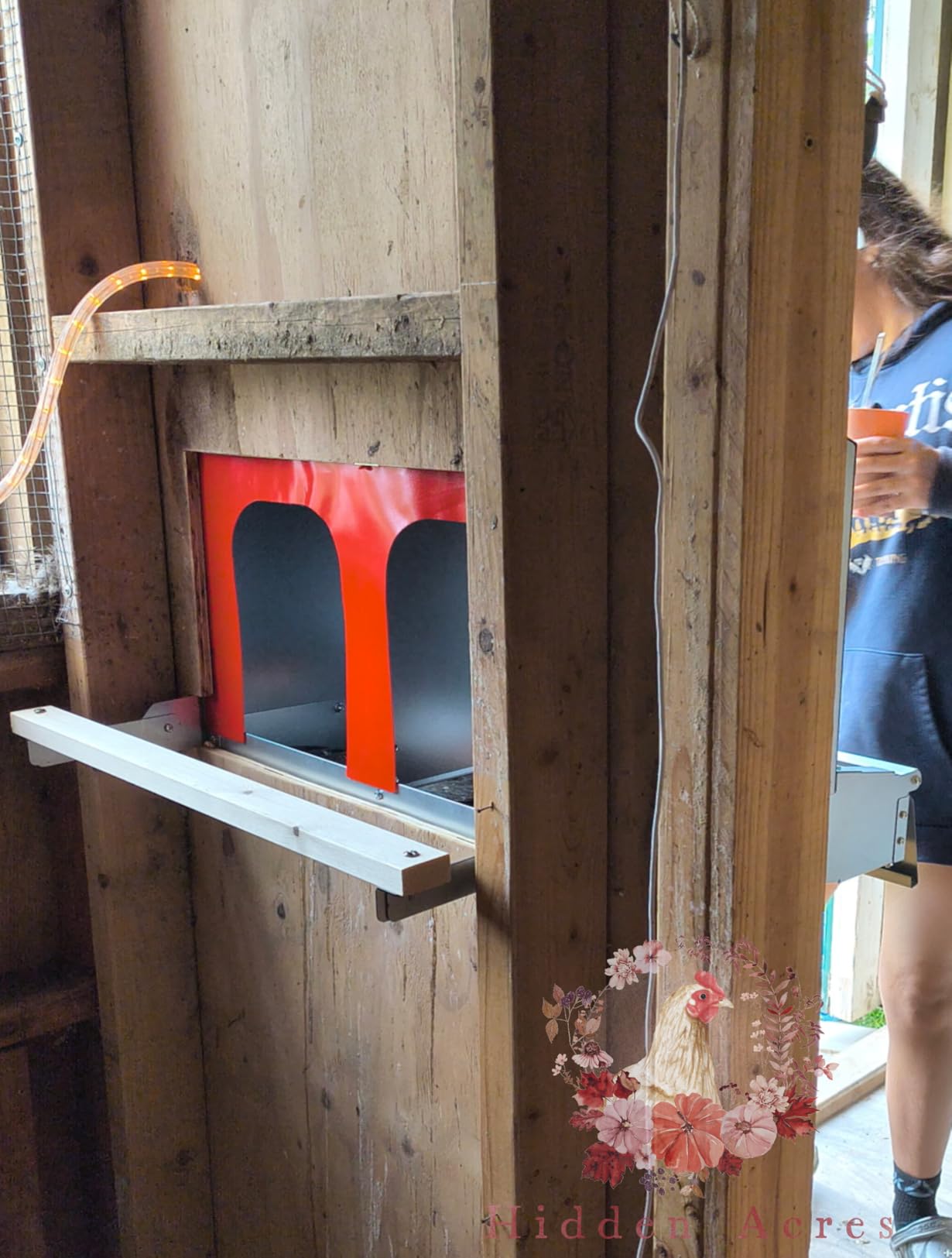 Hen's Choice™ - Reversible Roll Out Nest Box for Chickens | Roll Away Nest Box | 2 Compartment 21
