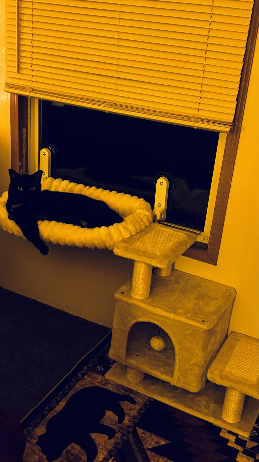 3-in-1 Cat Stairs with Scratching Post & Condo, Pet Steps, Dark Grey customer photo 1