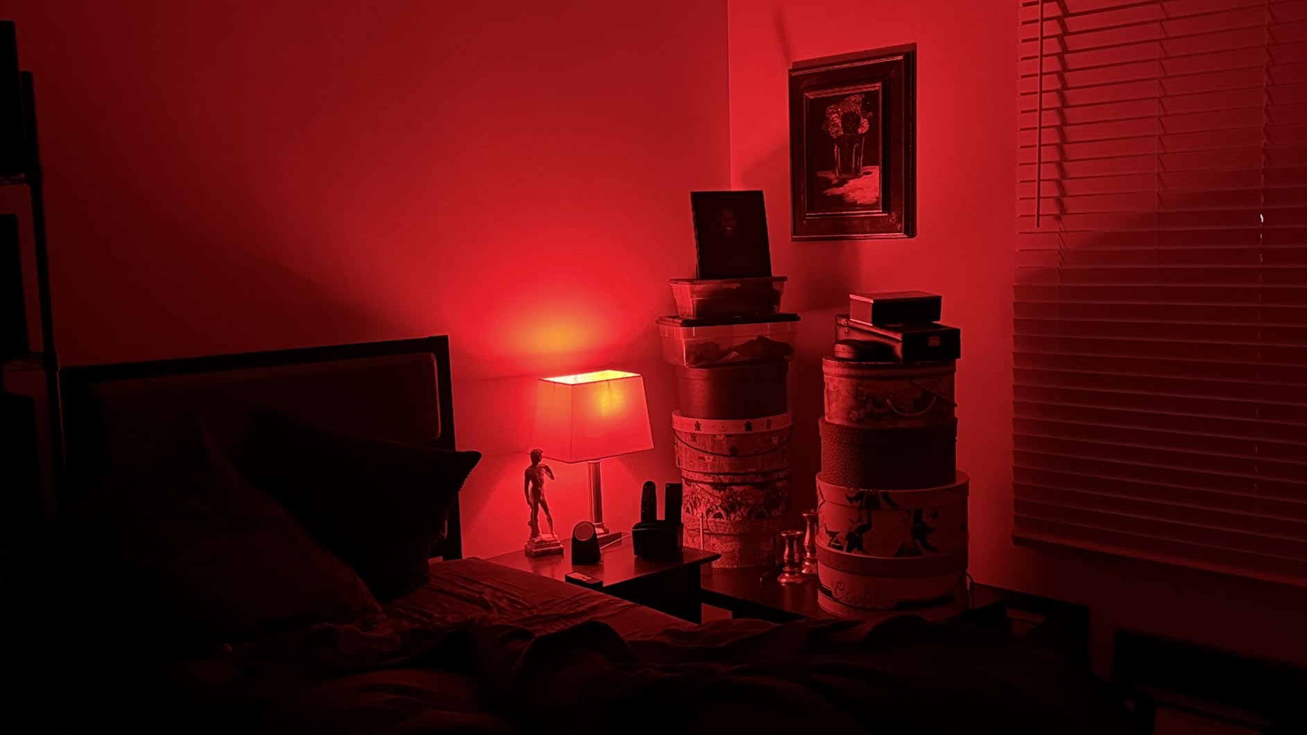 Tapo Multicolor Dimmable Smart Light Bulbs, L535E(4-Pack), A19 E26, 1100LM customer photo 1