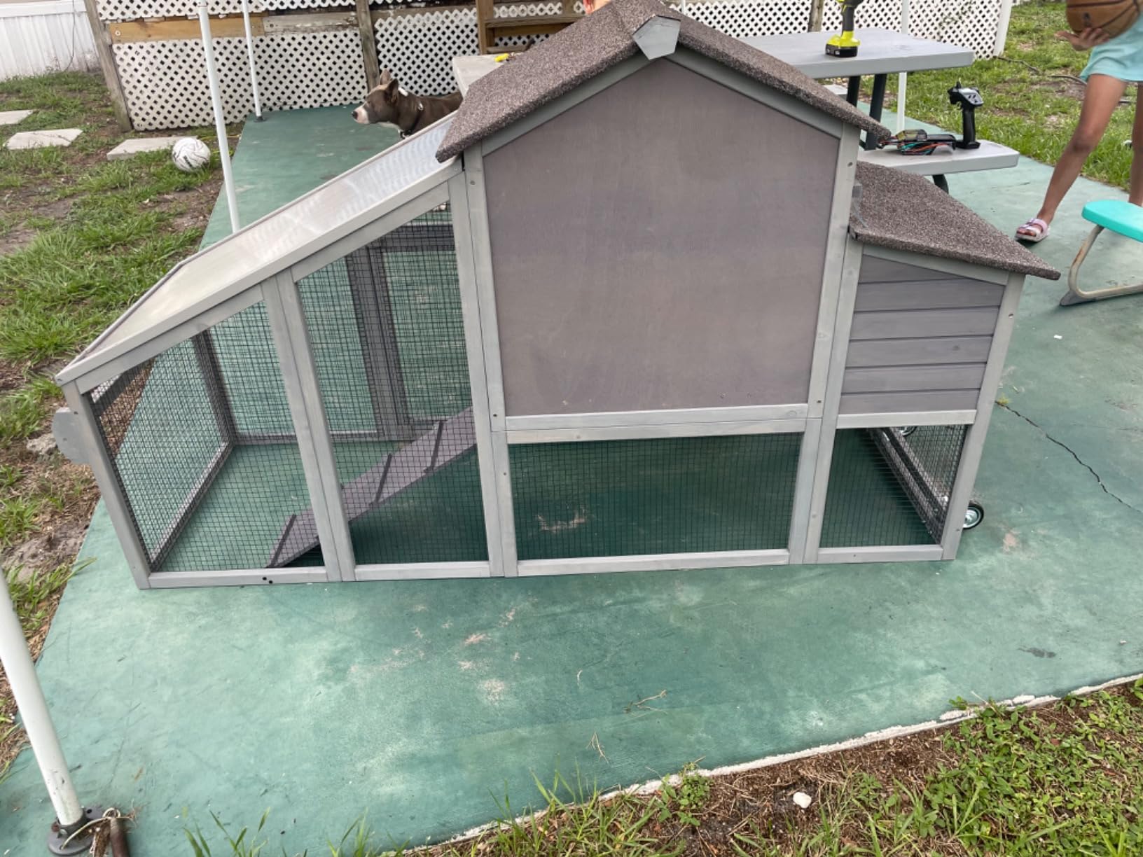 Chicken Coop with Wheels Wooden Outdoor Chicken House Easy Cleaning with Nesting Box, Deeper Leakproof Pull-Out Tray and UV Proof Panel Roof - Reinforced Version - Red customer photo 1