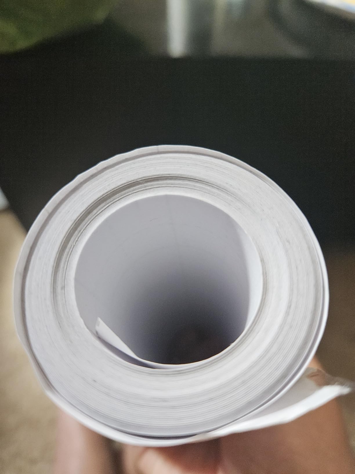 Cricut Value Transfer Tape (12in x 15ft Roll) customer photo 1