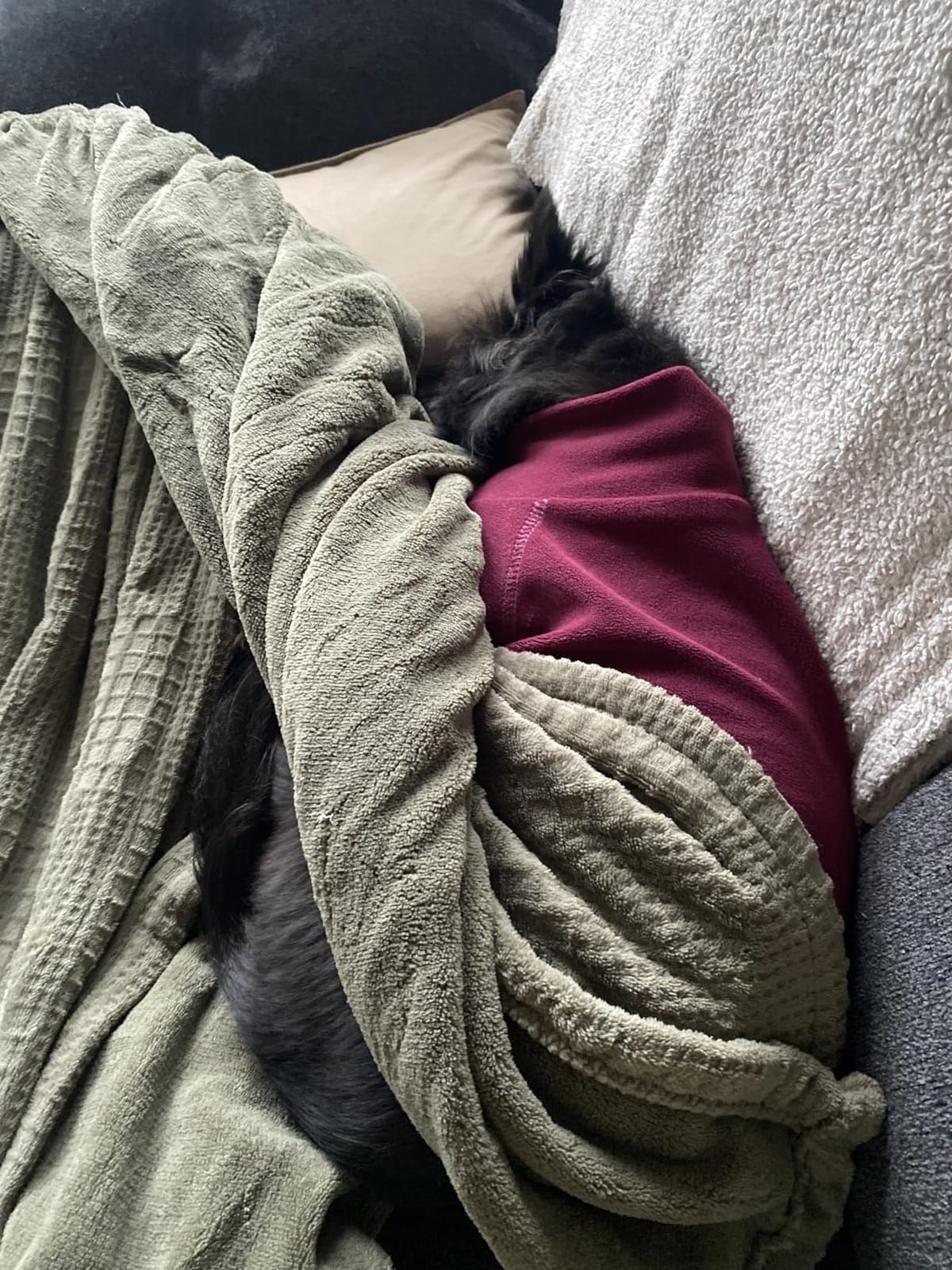 Texciting Heated Blanket 50
