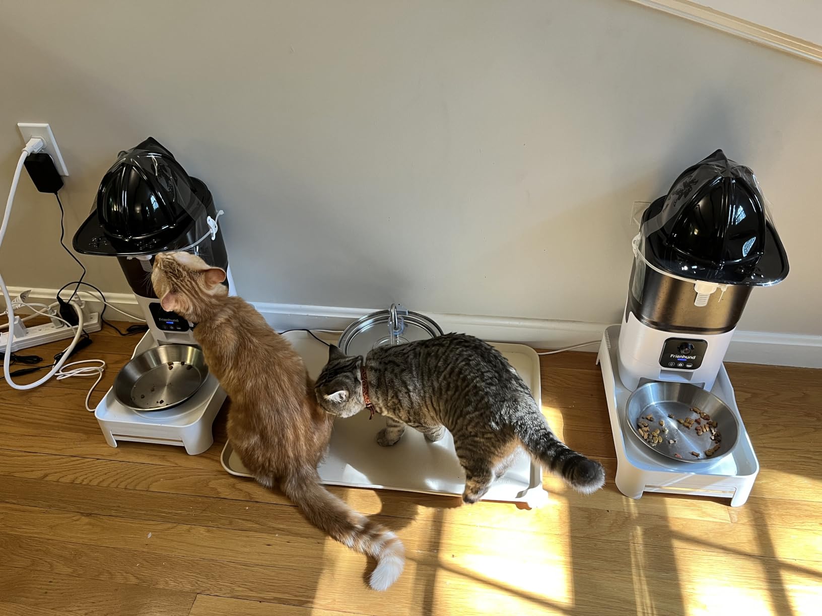 Frienhund Timed Automatic Cat Feeder 2 Cats with Slow Feed: Dual Automatic Dog Feeder with Information Visualization, Programmable Auto Cat Food Dispenser for Multiple Pets,Detachable for Clean-29 Cup customer photo 2