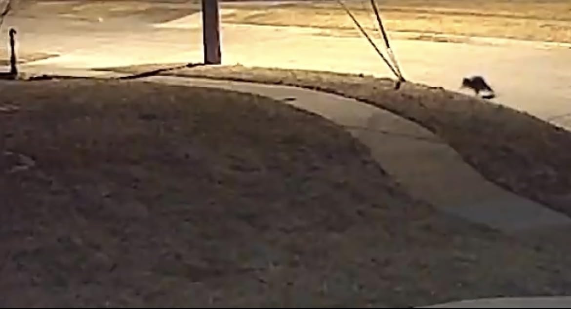 COOAU Solar Security Cameras Wireless Outdoor, 2K 360° Home Surveillance customer photo 1