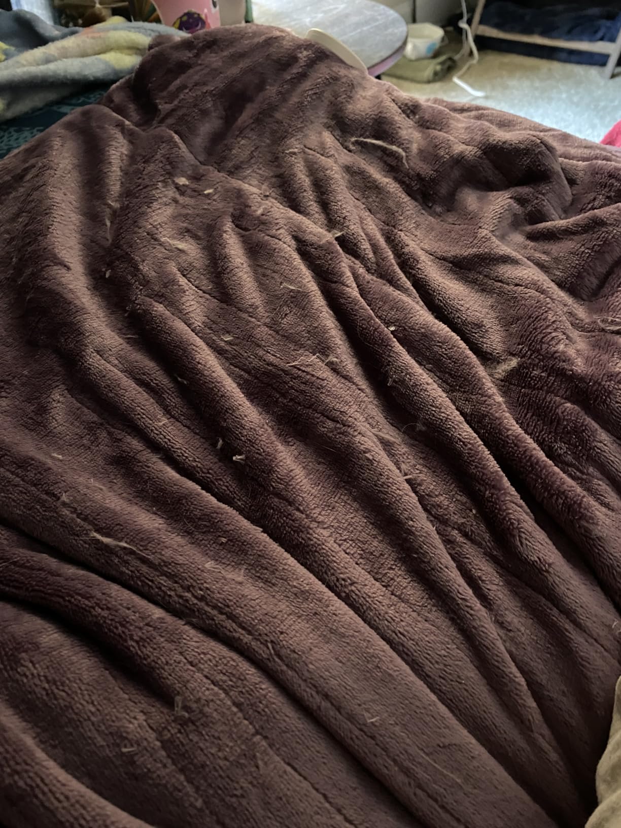 Wapaneus Heated Blanket Electric Queen Size 84