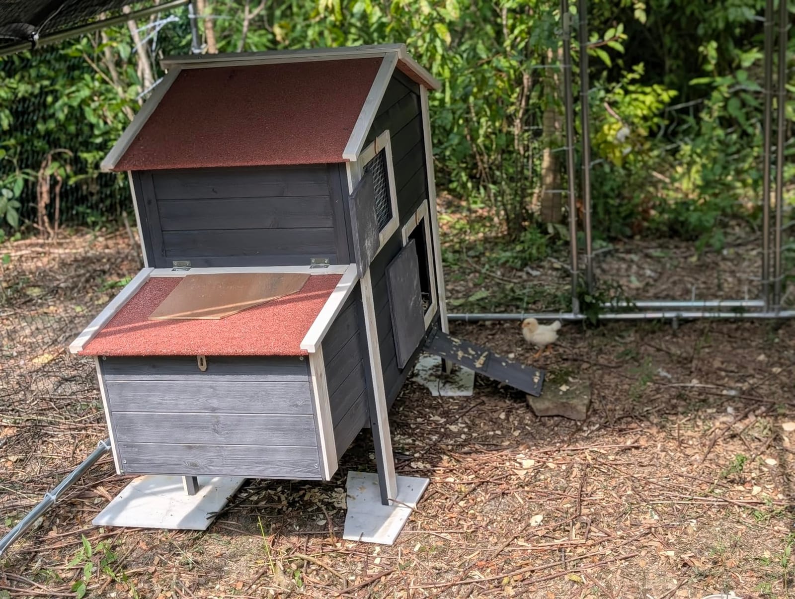 Large Metal Chicken Coop, Chicken Runs for Yard with Cover Walk-in Poultry Cage for 10 20 Chickens, Chicken Pen Duck Coop Hen House with Water-Resident Top and Feeding Door 19.2Lx9.84Wx6.6H FT customer photo 2