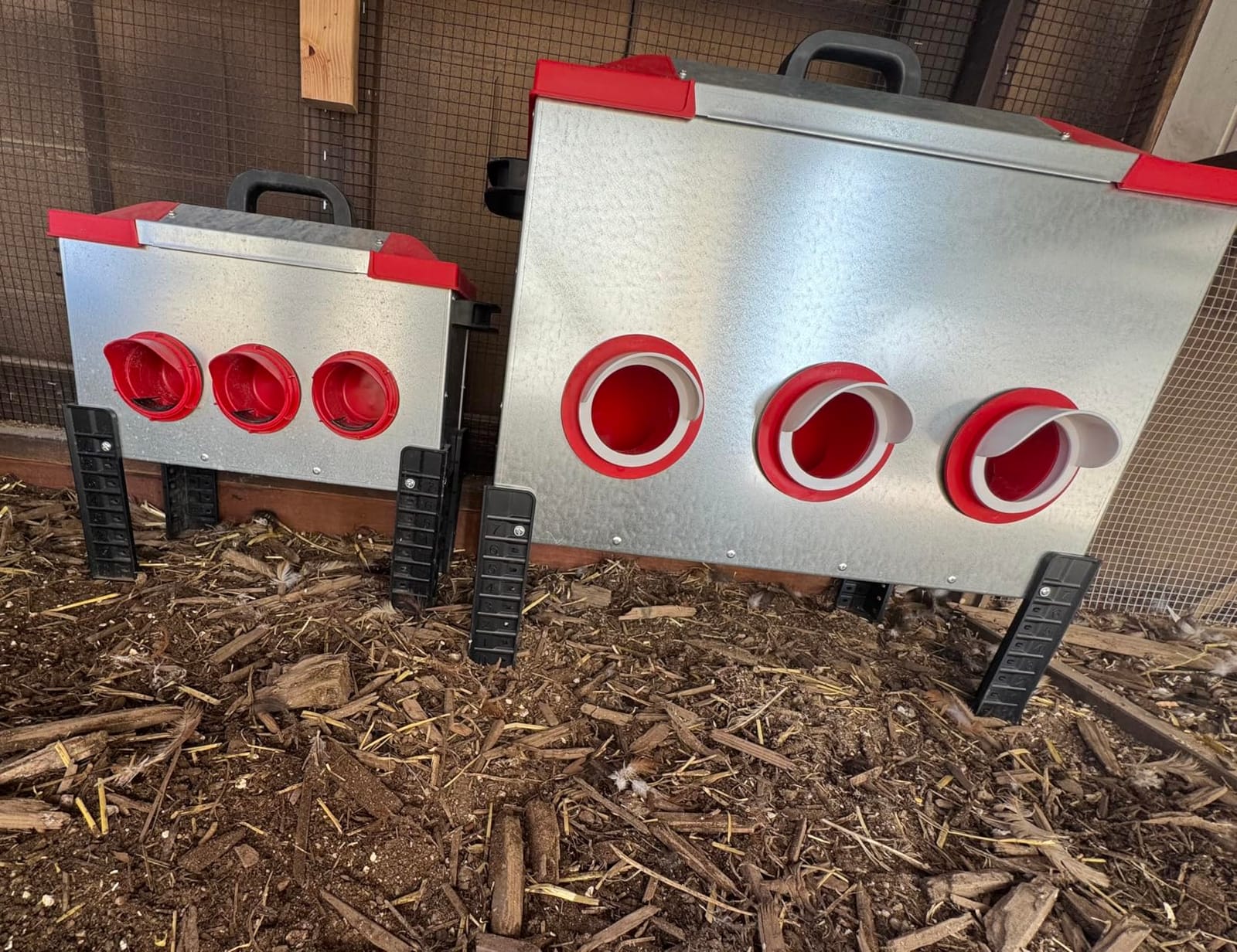 RentACoop 65 lb Large Capacity Chicken Feeder with 6 Ports, Adjustable Legs customer photo 1