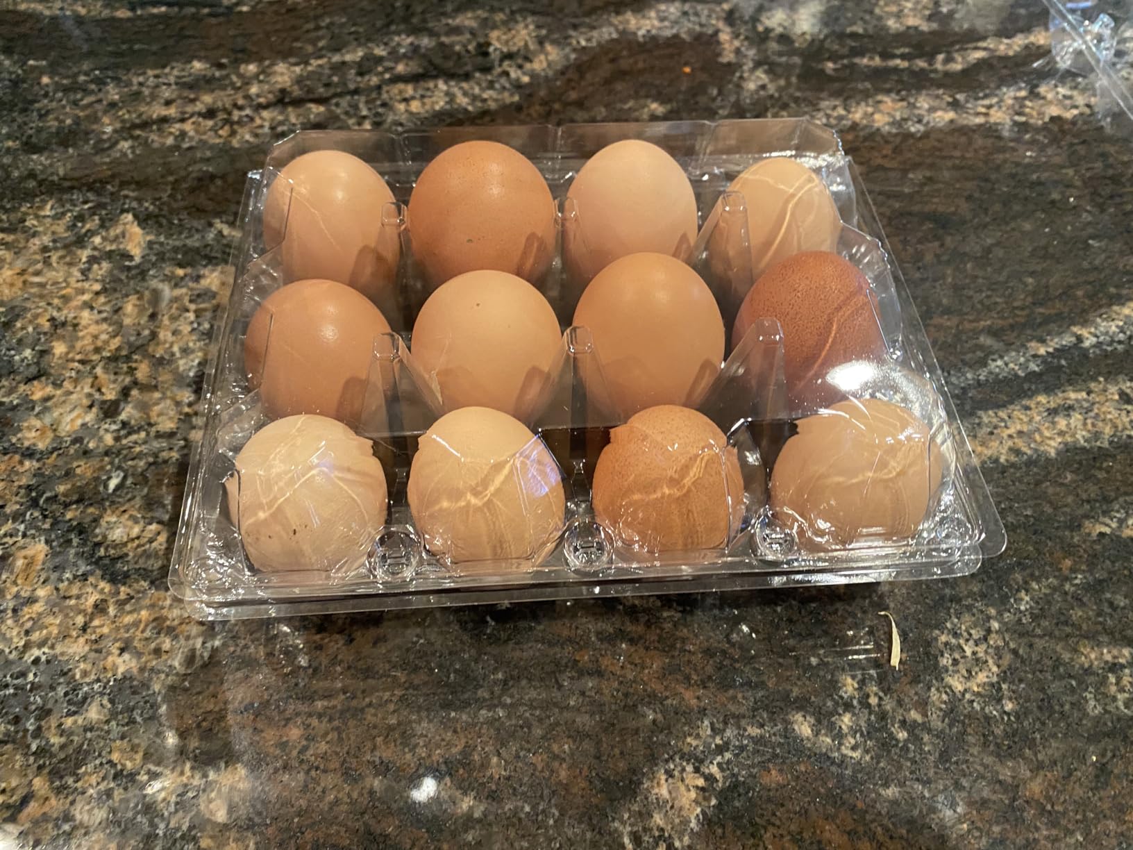 100 Pack Clear Plastic Egg Cartons, Reusable Stackable Egg Containers for Farm, Market & Fridge Storage, 3×4 Grid customer photo 2