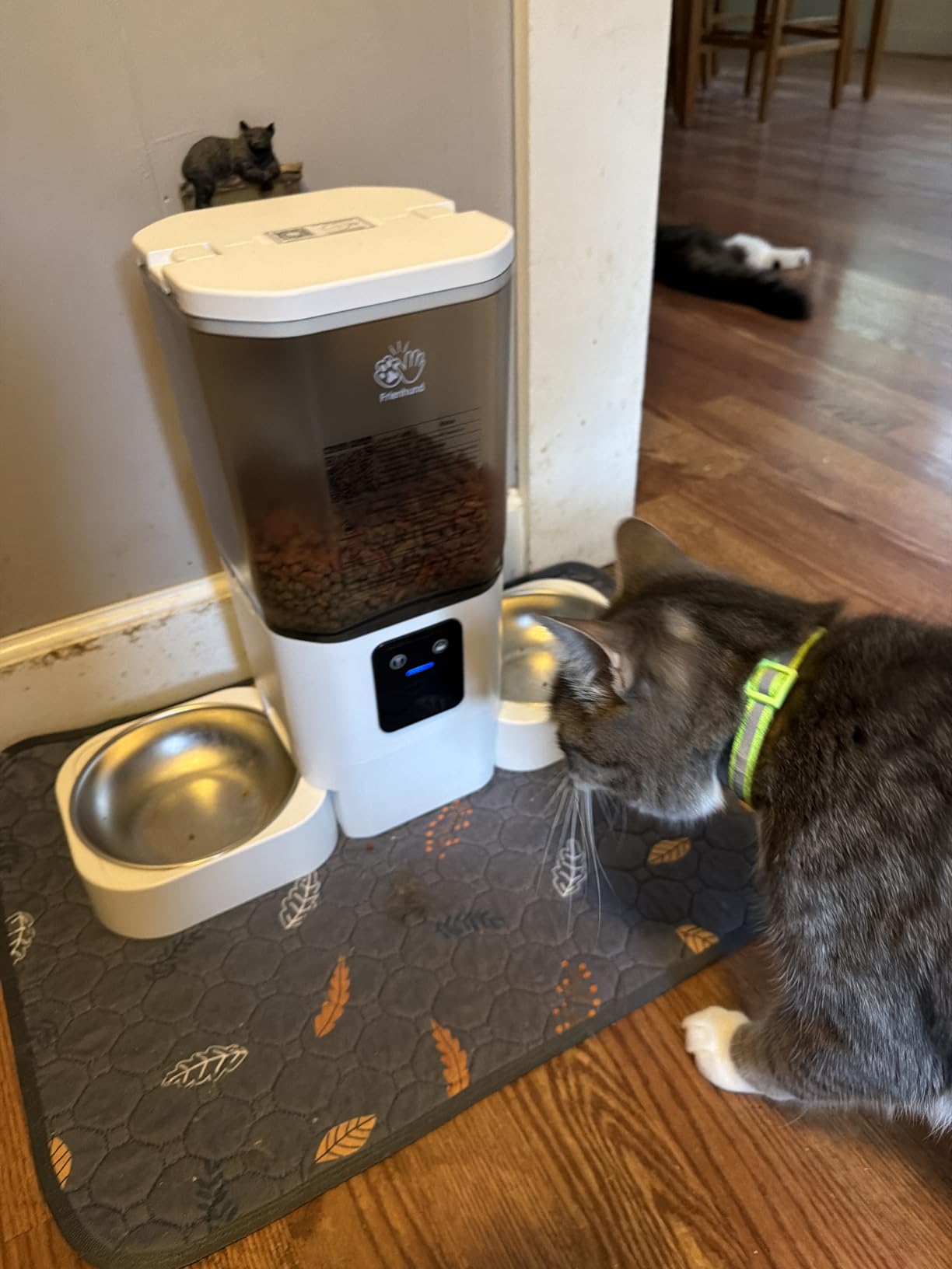 Frienhund Automatic Cat Feeder with Two 1080P Camera for 2 Cats: 7L Automatic Dog Feeder with Night Vision & Slow Feed, 5G WiFi Auto Cat Food Dispenser for Multiple Pet,Detachable for Clean(ACF180W-C) customer photo 2