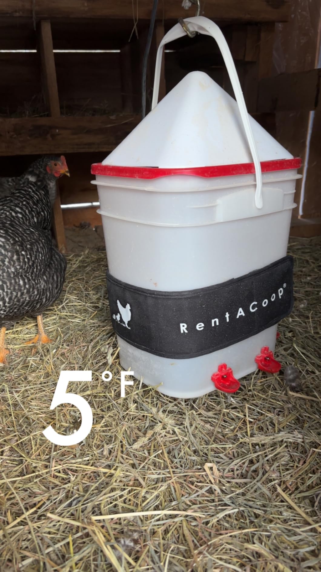 RentACoop SM Chicken Water Heater, 40W Heated Bucket Belt, Freeze Protect customer photo 2
