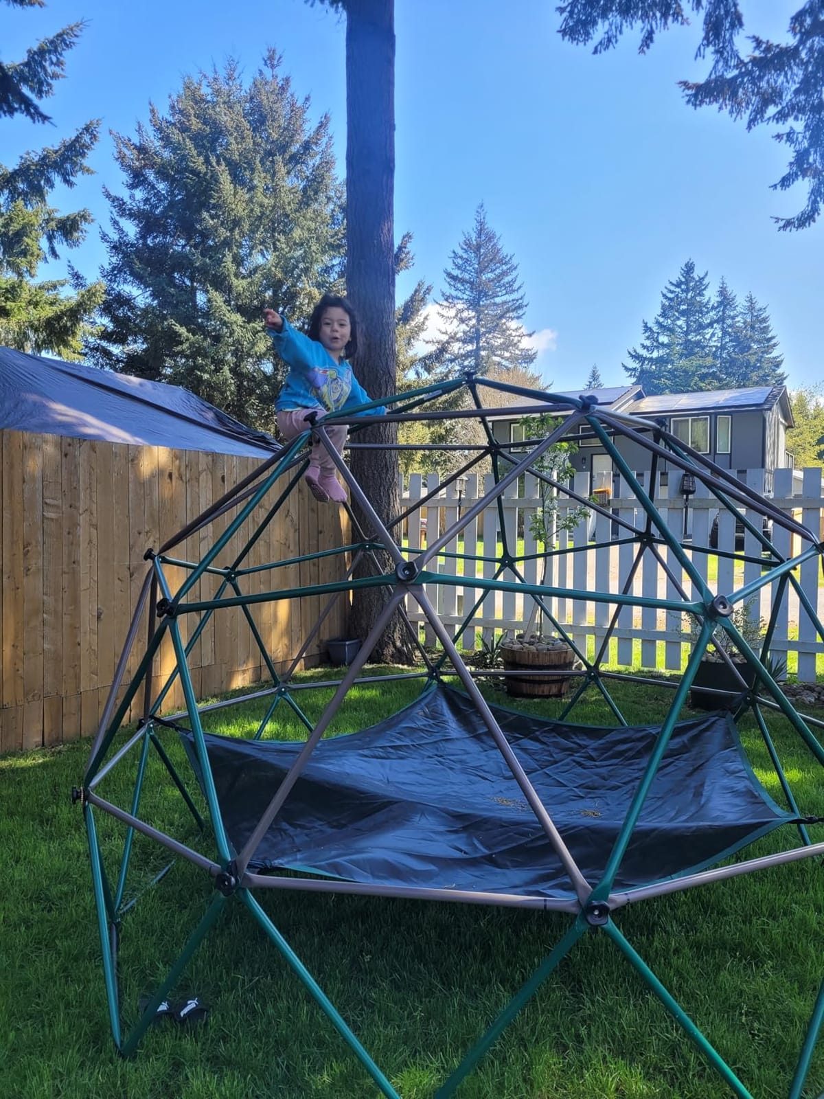 Hapfan 6.5 FT Tall Climbing Dome with Hammock for Kids 3-12 Outdoor customer photo 1