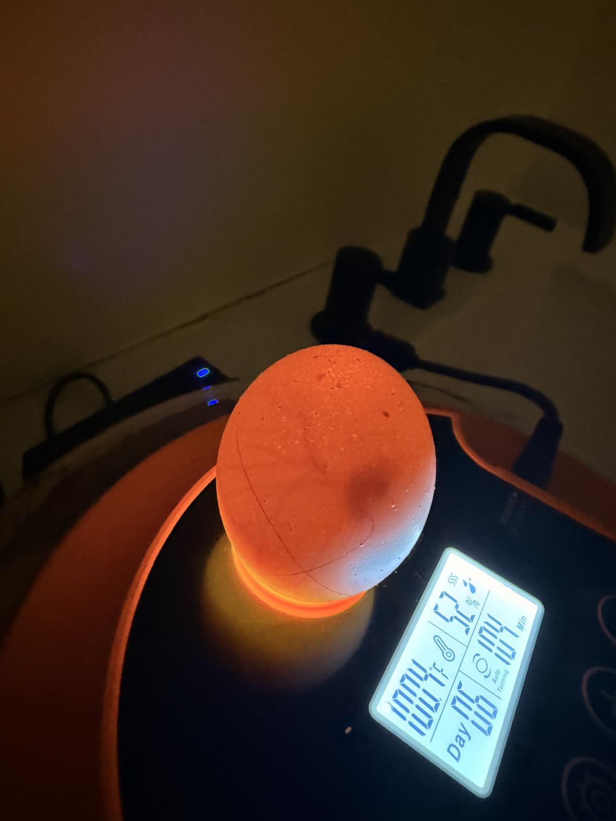18 Egg Incubators for Hatching Eggs, Automatic Egg Turning and Humidity Control Incubator for Hatch Chicken Duck Quail Pigeon Pheasant Partridge Home Classroom Lab- customer photo 2