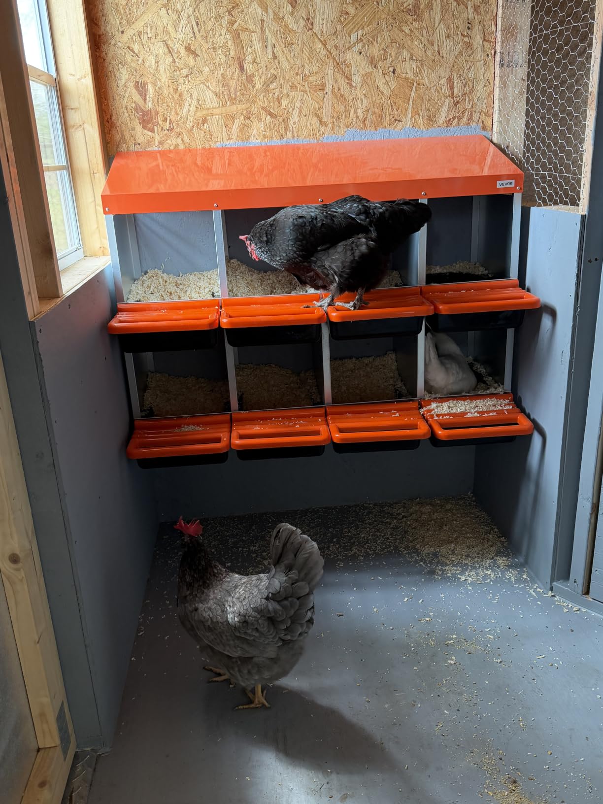 VEVOR Chicken Nesting Boxes, 3 Compartments, Metal Egg Laying Boxes with Protective Collection Lids, Roll Out Nesting Box, Easy to Assemble, Ideal for Hens, Ducks, Chickens, and Other Poultry, Orange customer photo 1