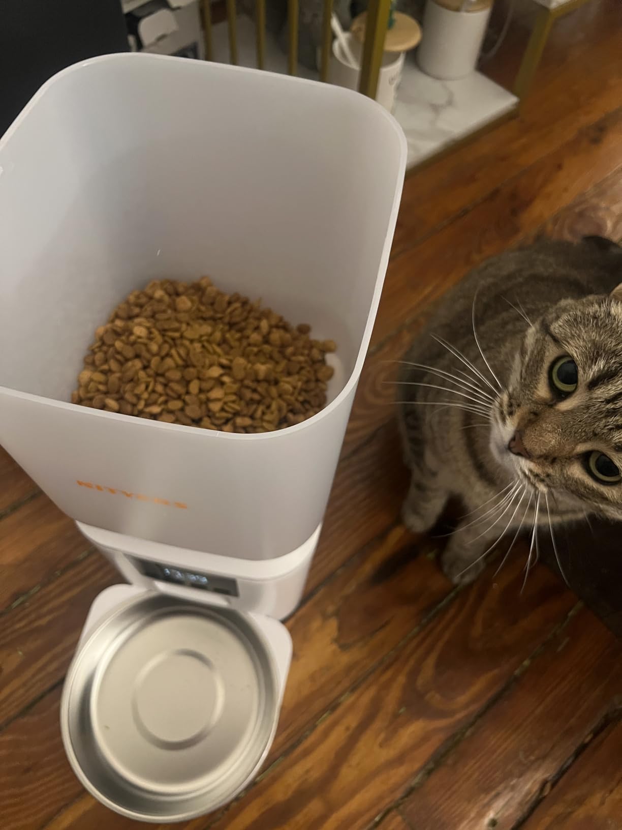 Automatic Cat Feeder for 2 Cats - 8L/34 Cups Dual Automatic Dog Feeder with Dog Food Dispenser for 2-18mm Dry Food, Timed Cat Food Dispenser, Up to 50 Portions 6 Meals Per Day, 10s Voice, Keep Fresh customer photo 1
