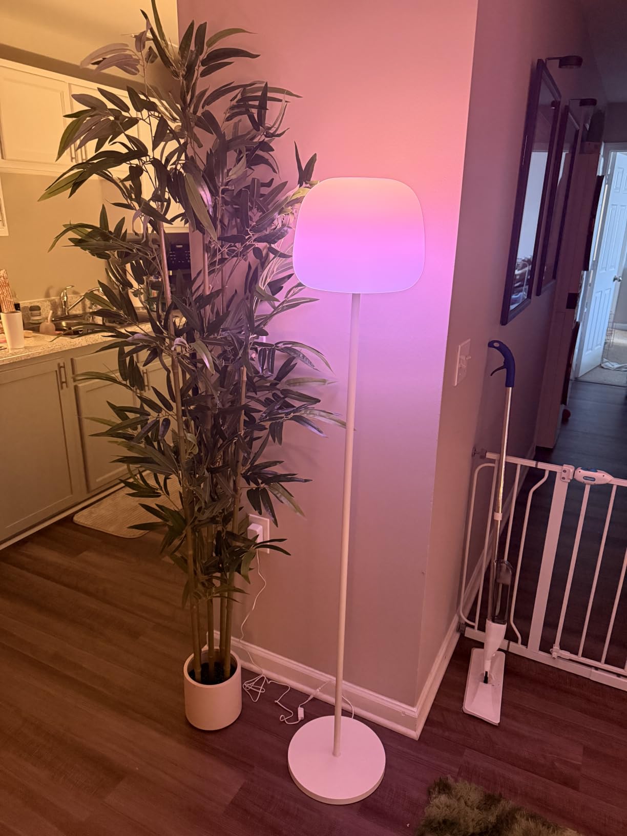 Govee Lantern Floor Lamp, Halo Gradient RGBIC Smart Corner Lamp for Bedroom customer photo 1