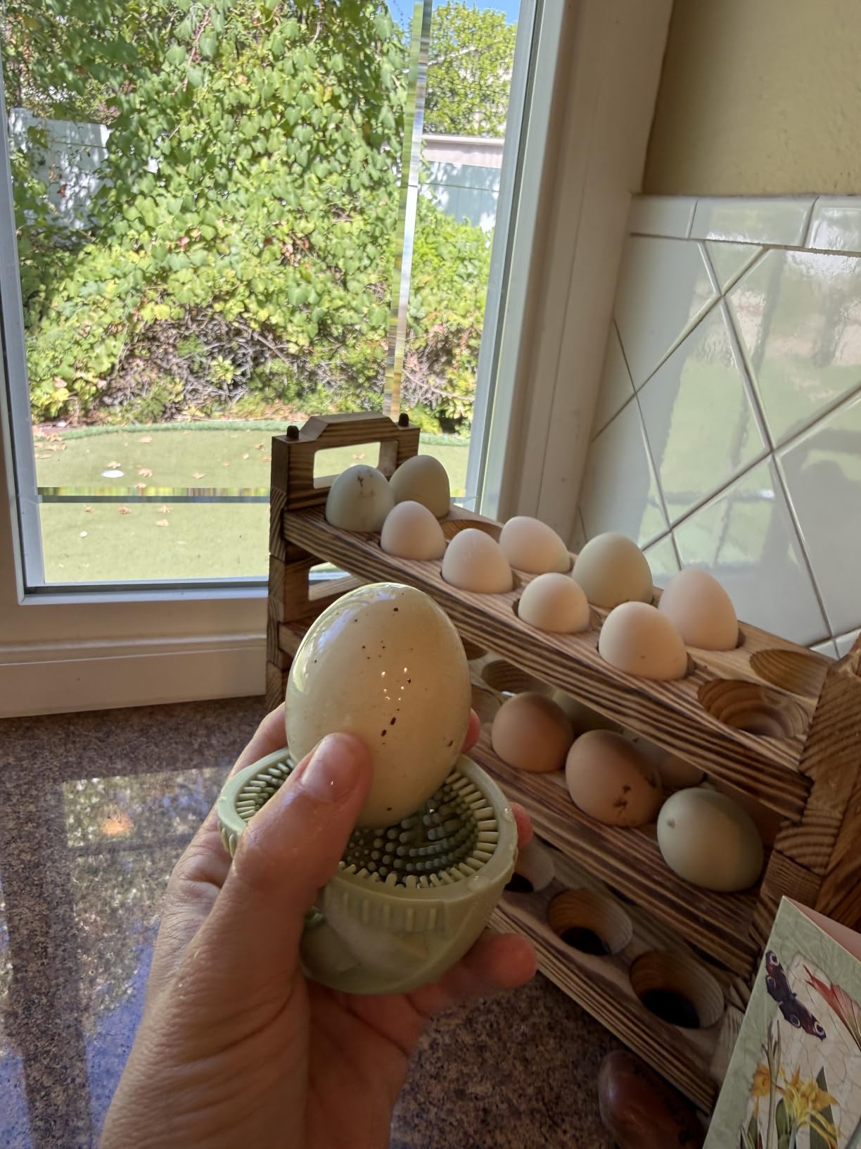 GoodEgg Deluxe Egg Cleaning Kit, 2 Silicone Brushes & Enzyme Wash & Refill customer photo 1
