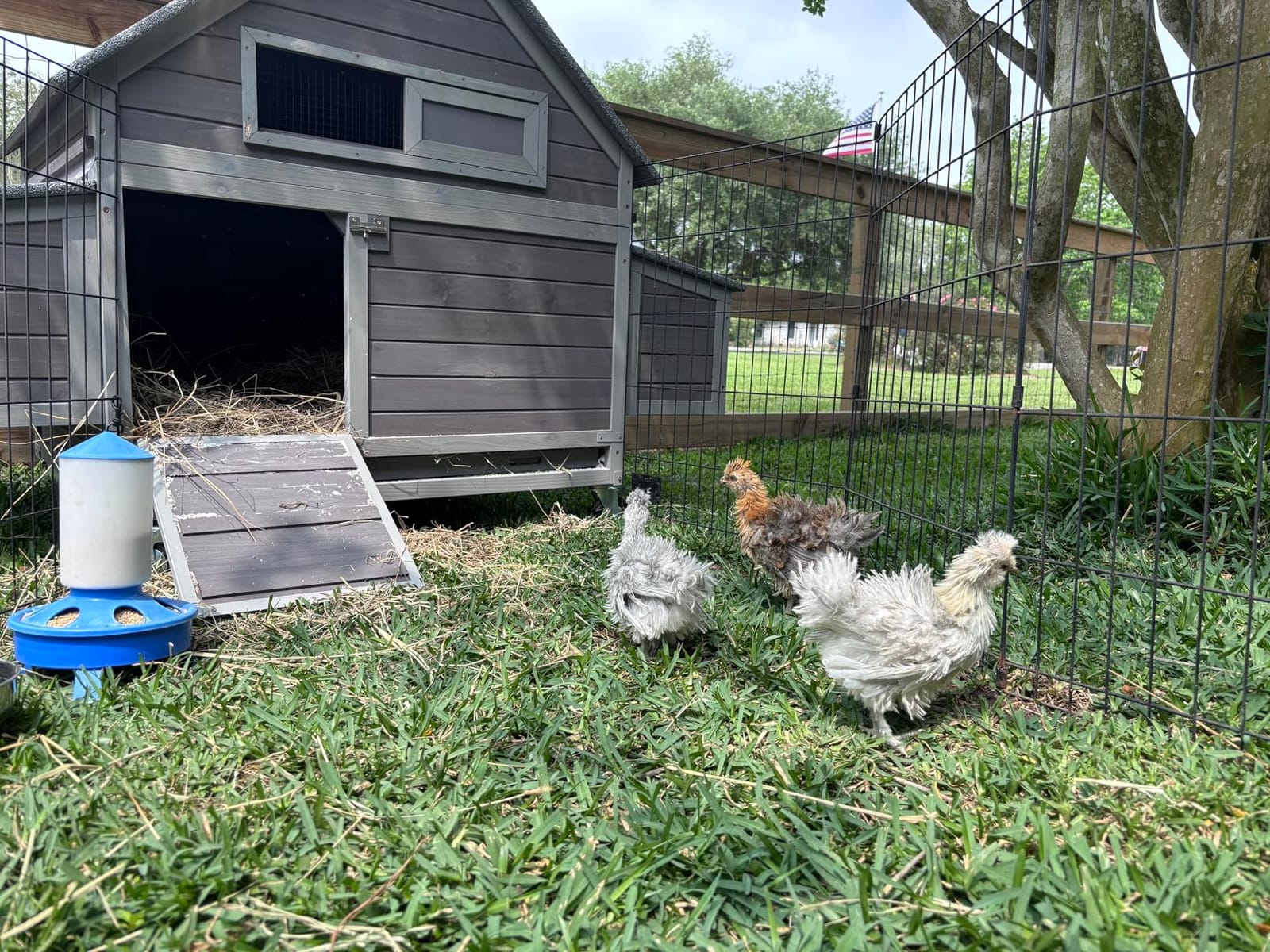GUTINNEEN Extra Large Chicken Coop with Run Walk in Chicken House with 2 Large Nesting Boxes Sturdy Iron Angle Brackets 76