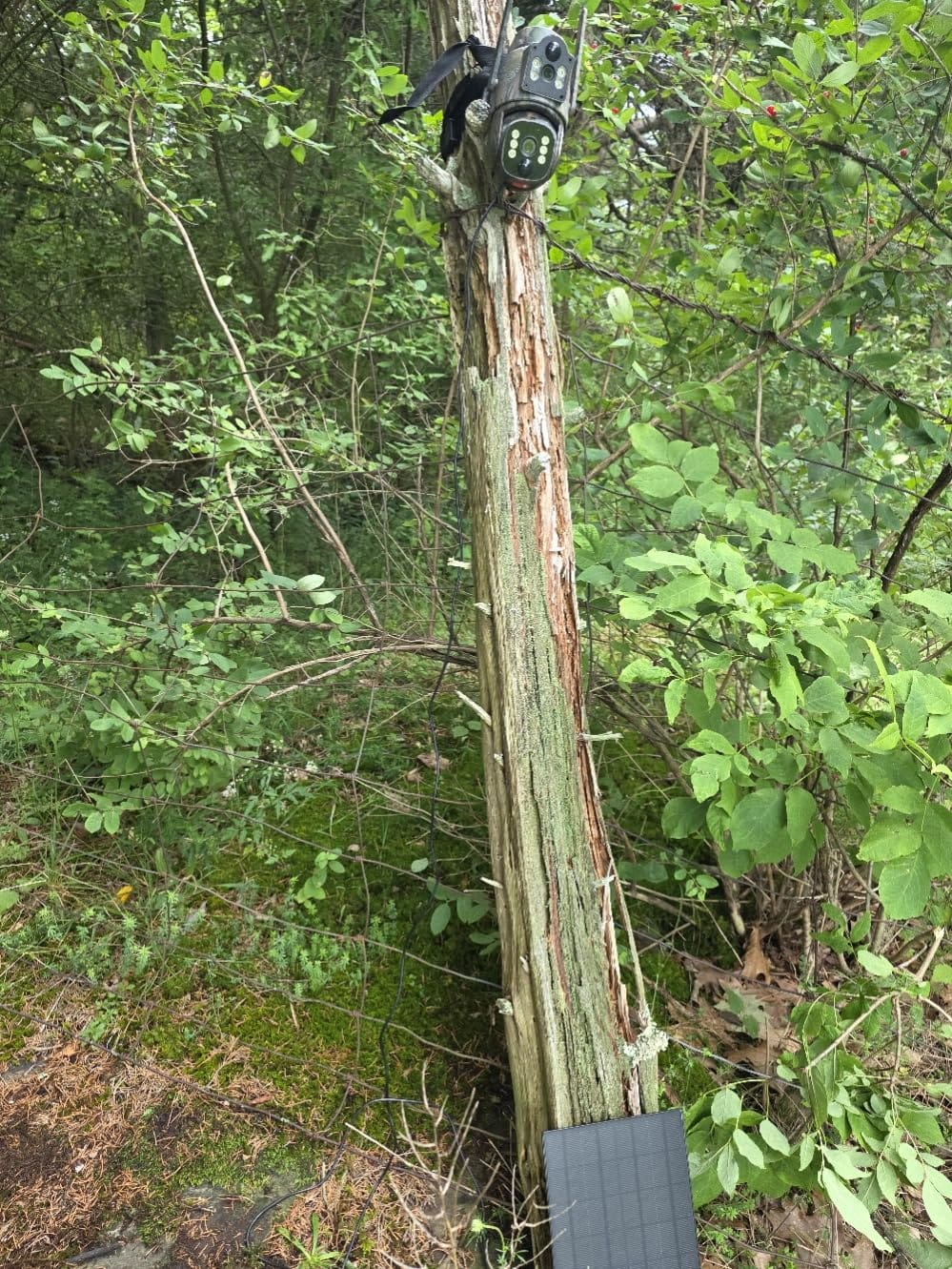 Cellular Trail Camera, 4G LTE Dual Lens Game Camera 360° Live Streaming customer photo 1