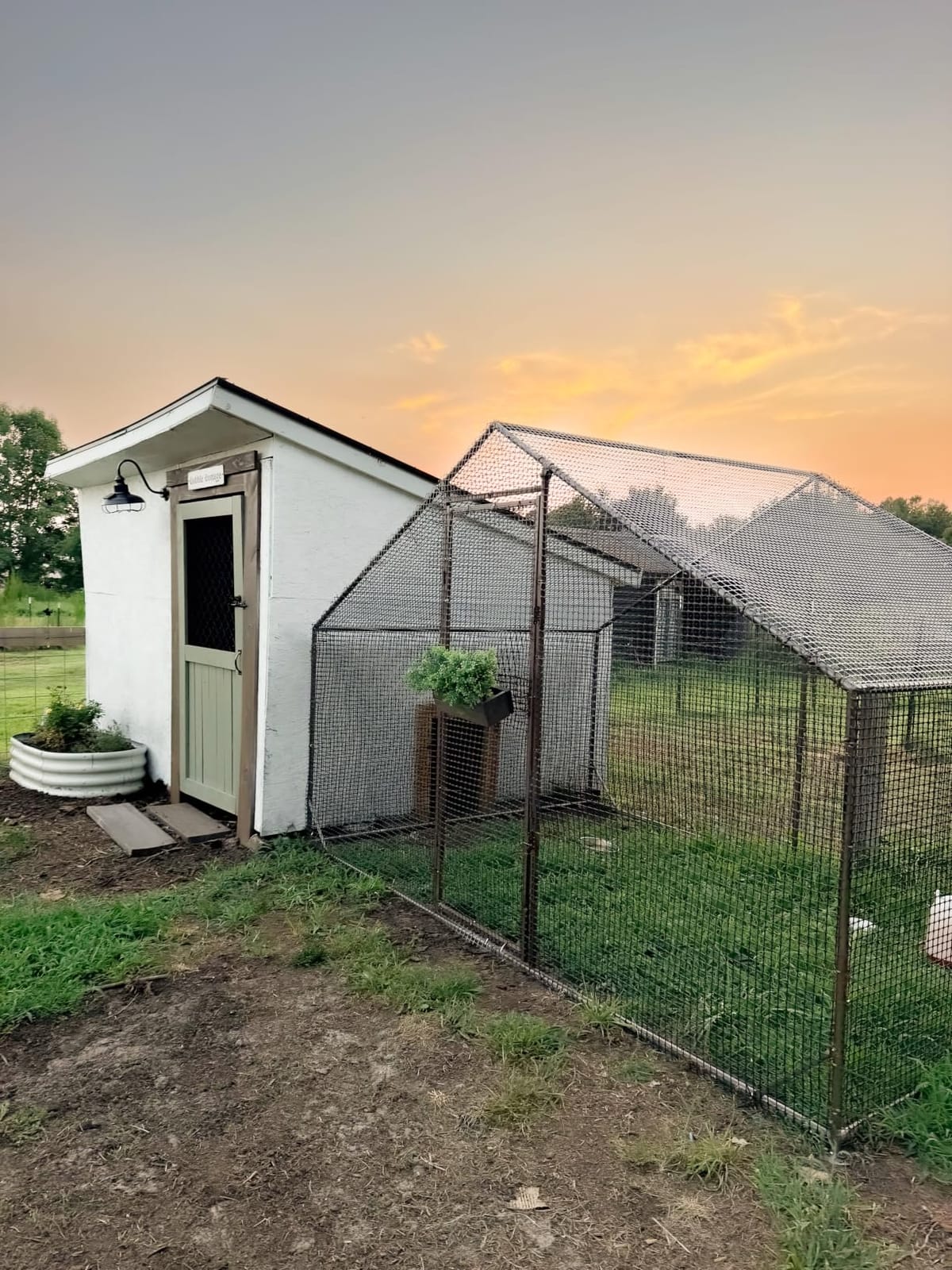 Large Walk-in Chicken Coop with Chicken Run, Galvanized Poultry Enclosure with Waterproof Anti-UV Cover and Security Lock, Ideal for Rabbit, Duck, Backyard and Farm Yard, 19.7'x 9.8'x 6.6' customer photo 2