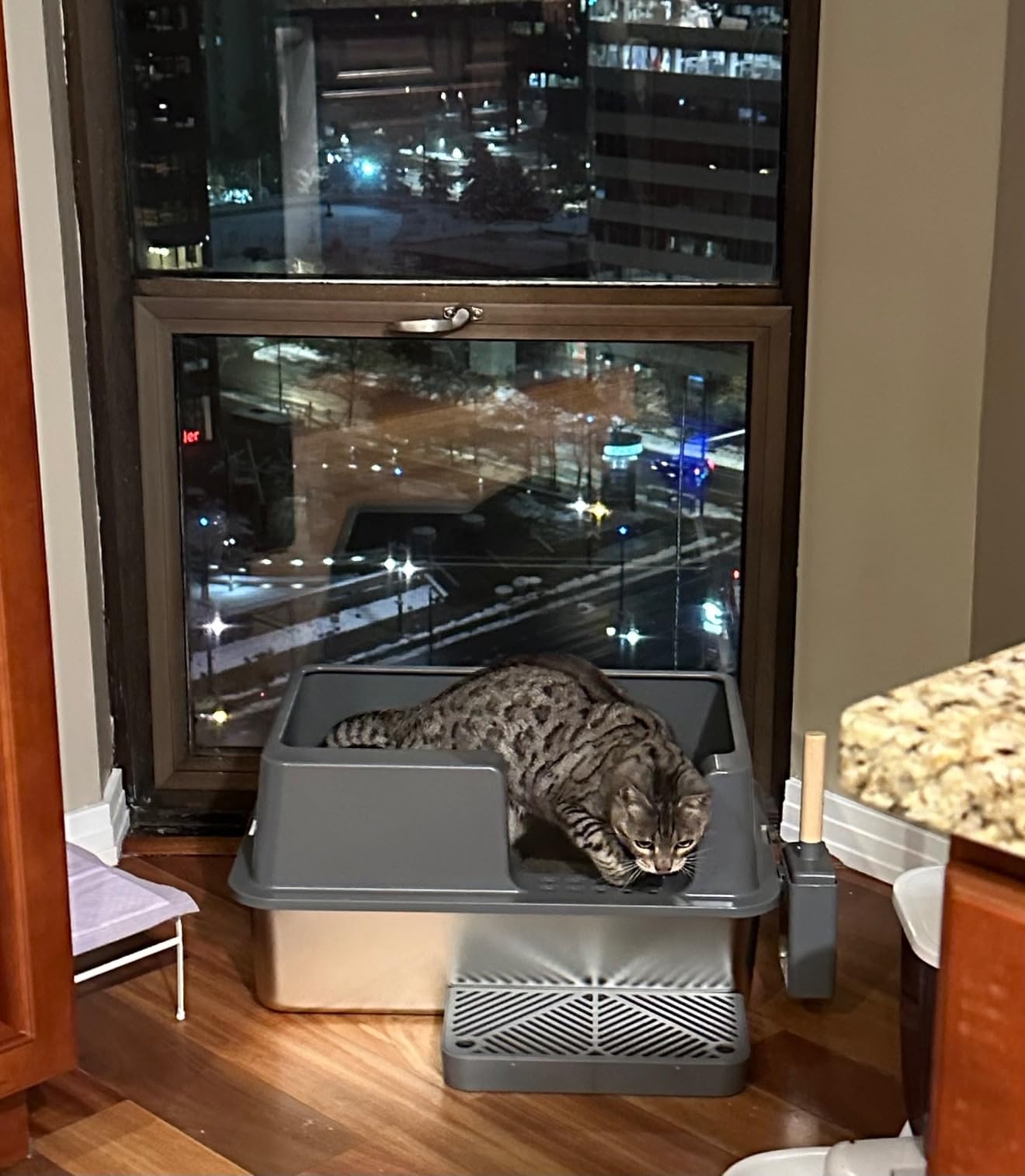 Happypaw XXXL Open-Top Automatic Self Cleaning Litter Box for Multiple Cats customer photo 1