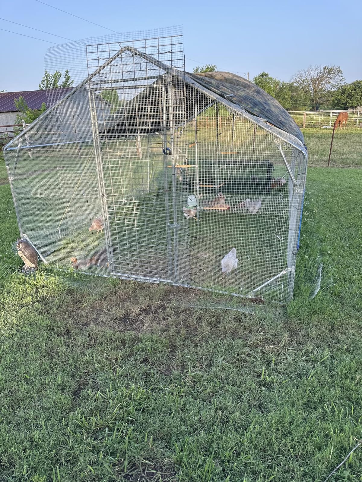 Quictent 24x9x6.6ft Large Metal Chicken Coop Run with Hardware Cloth customer photo 1