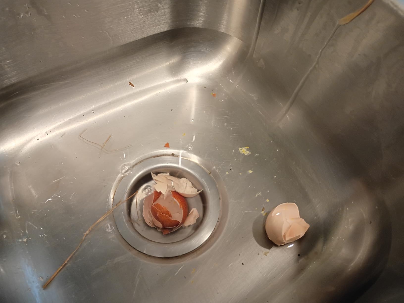 Egg Washer for Fresh Eggs, Silicone Egg & Vegetable Scrubber customer photo 2