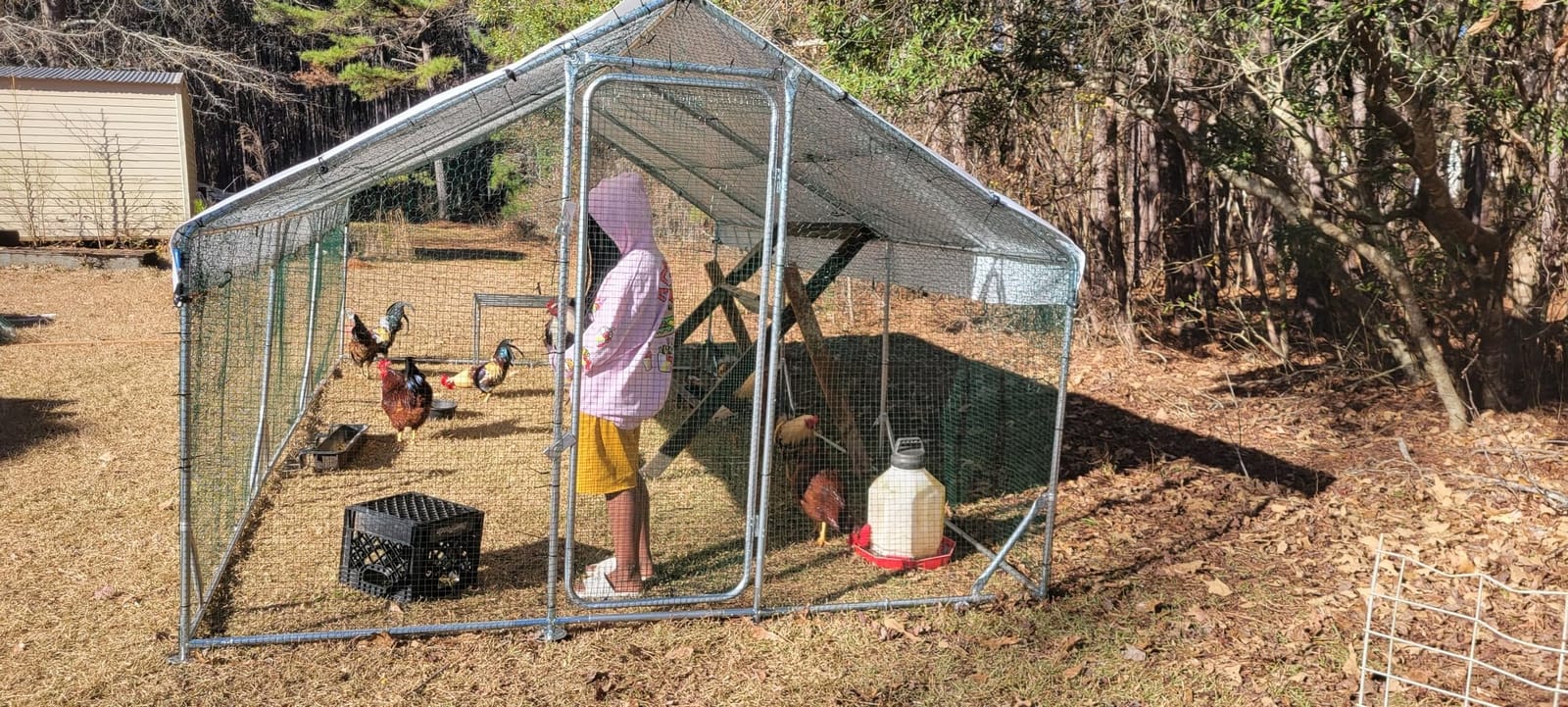 Quictent Large Metal Chicken Coop Run for 20+ Poultry w/Windproof Cover customer photo 1