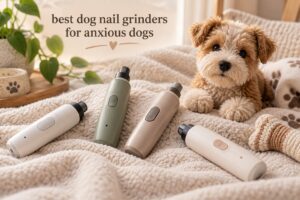 best dog nail grinders for anxious dogs