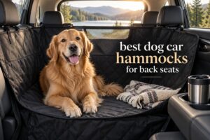 best dog car hammocks for back seats