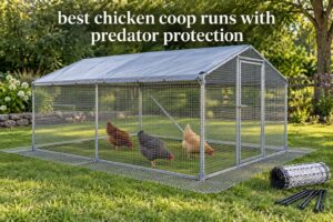 best chicken coop runs with predator protection