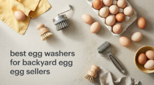 best egg washers for backyard egg sellers