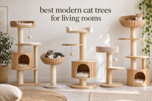 best modern cat trees for living rooms