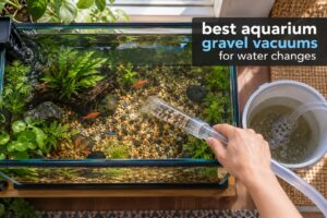 best aquarium gravel vacuums for water changes